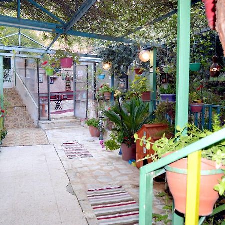 بيت الطبيعة Nature House Γέρασα Εξωτερικό φωτογραφία