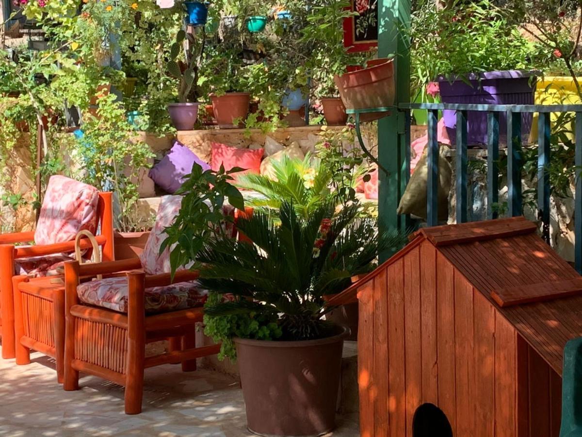 بيت الطبيعة Nature House Γέρασα Εξωτερικό φωτογραφία