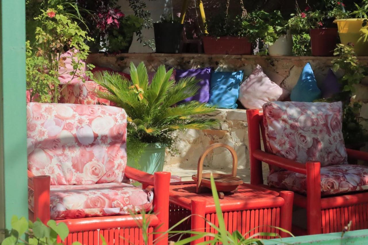 بيت الطبيعة Nature House Γέρασα Εξωτερικό φωτογραφία