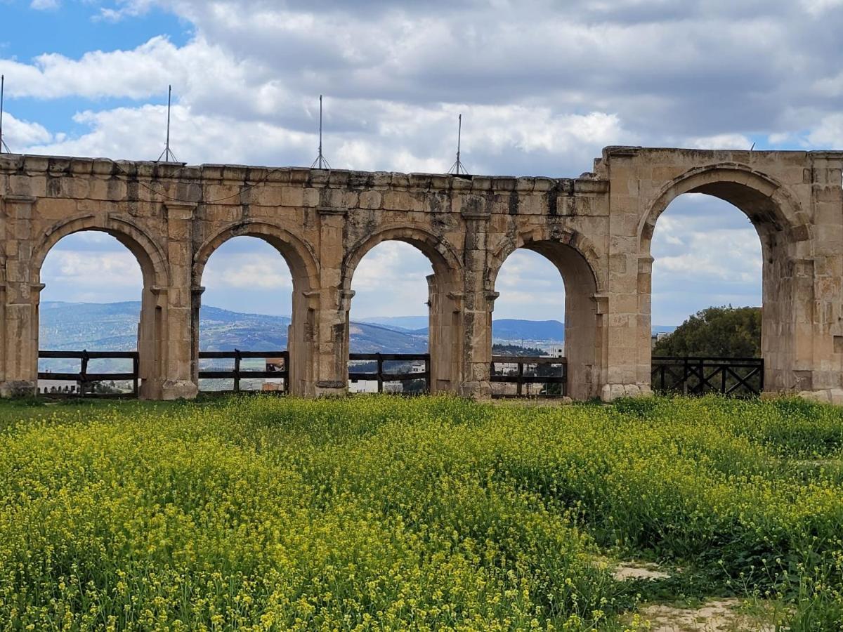 بيت الطبيعة Nature House Γέρασα Εξωτερικό φωτογραφία
