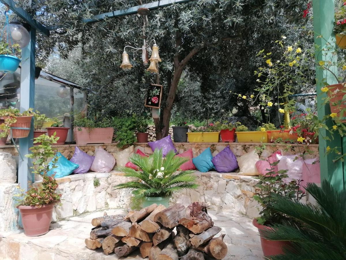 بيت الطبيعة Nature House Γέρασα Εξωτερικό φωτογραφία