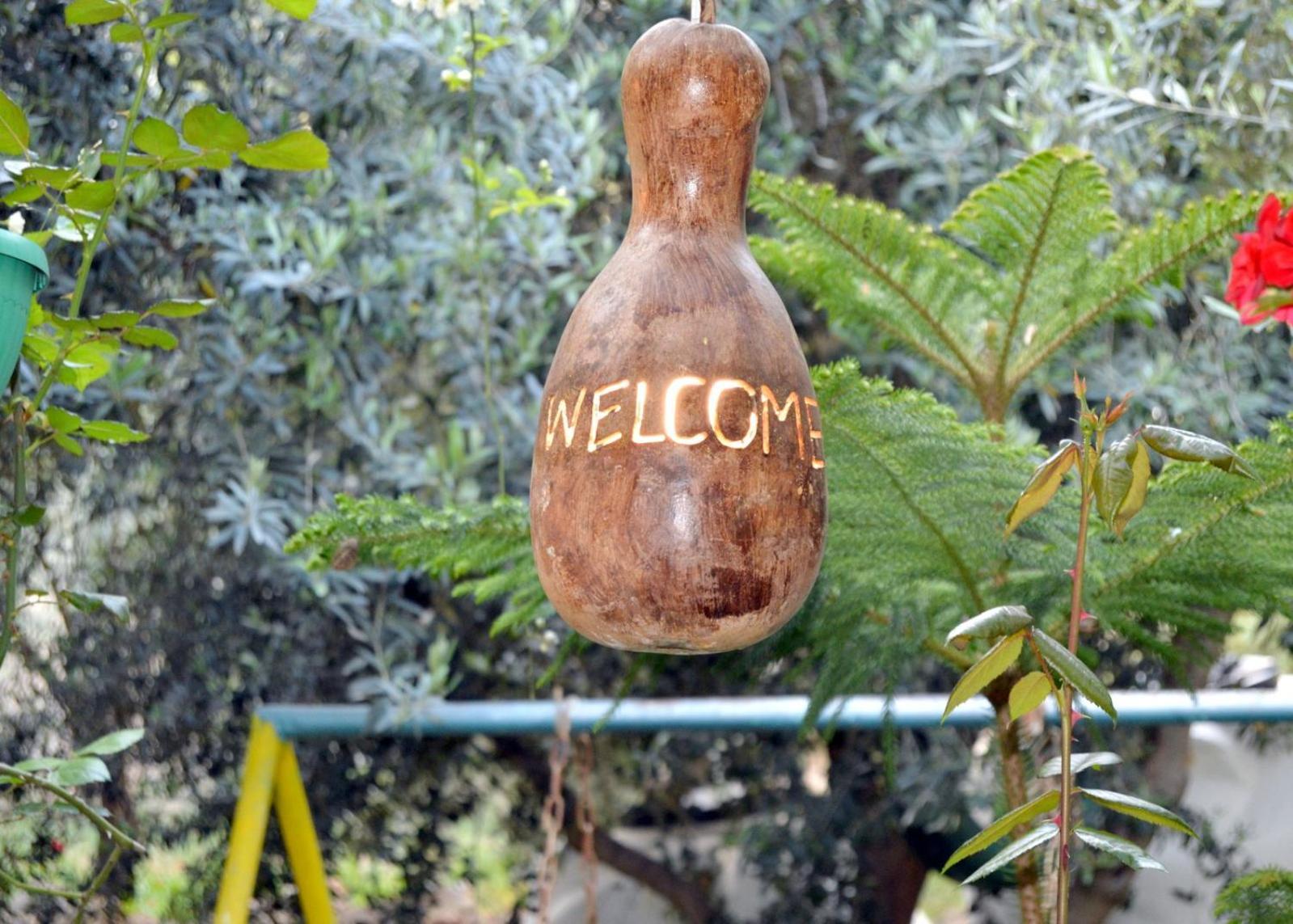بيت الطبيعة Nature House Γέρασα Εξωτερικό φωτογραφία