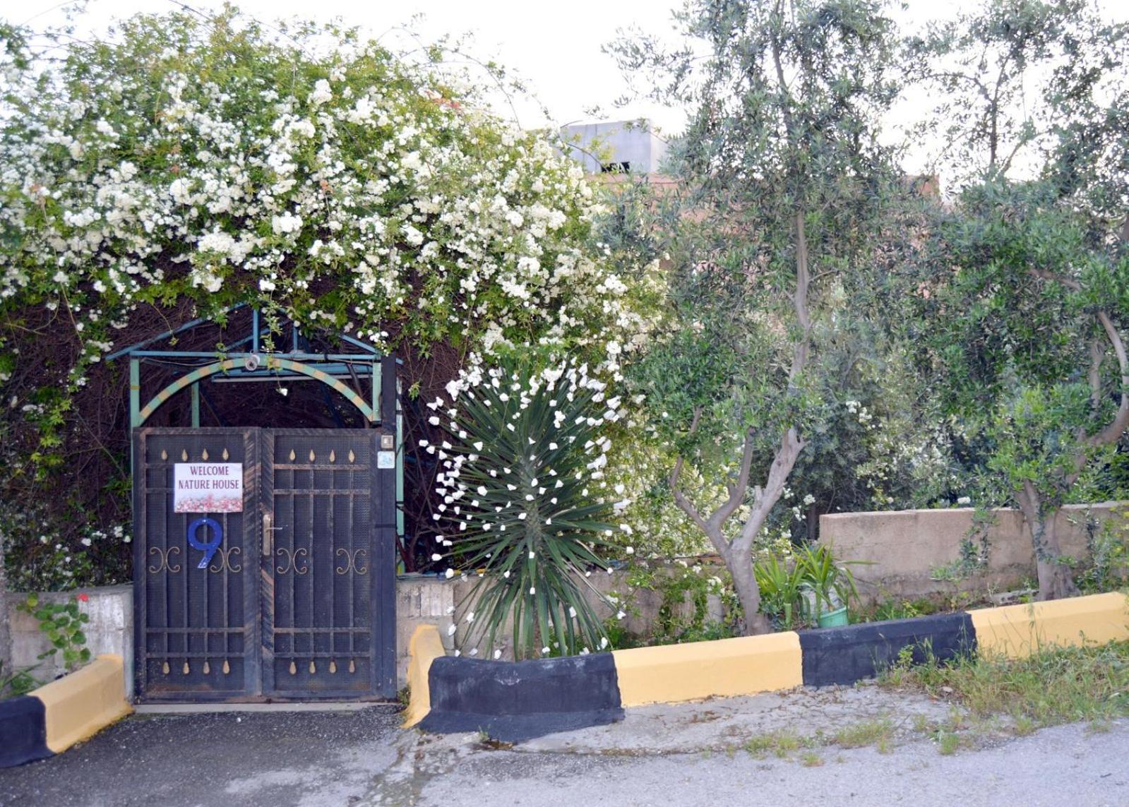 بيت الطبيعة Nature House Γέρασα Εξωτερικό φωτογραφία
