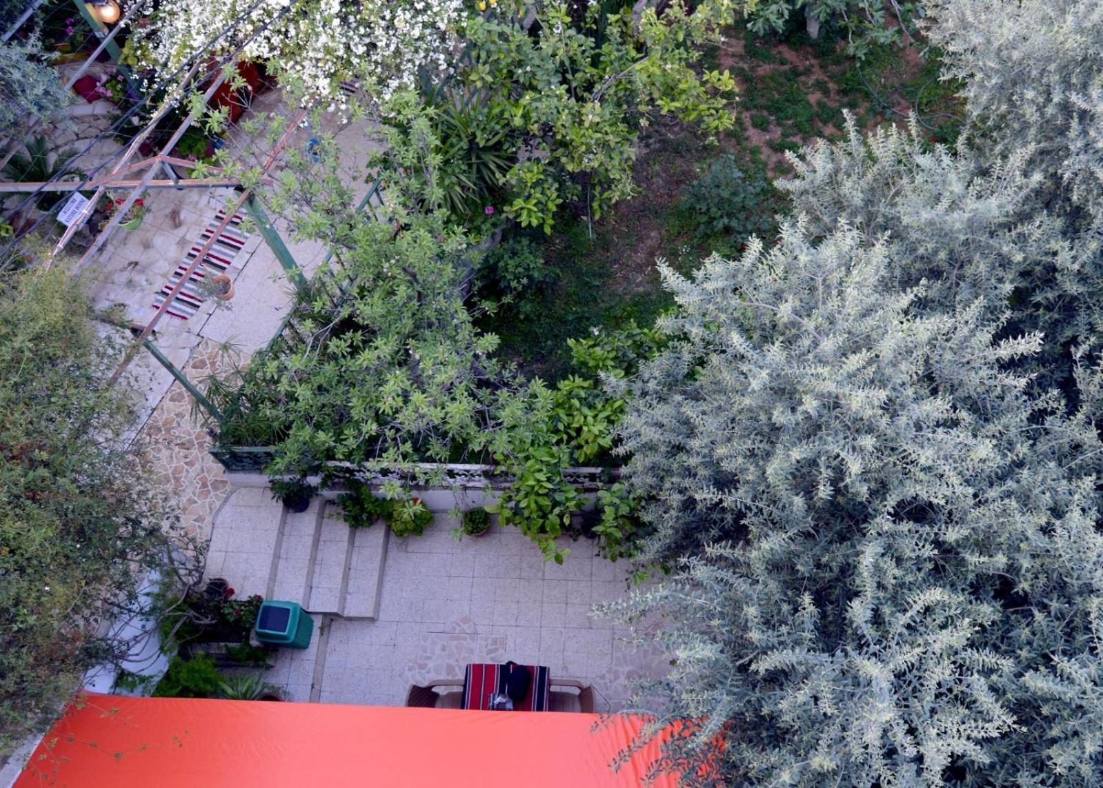 بيت الطبيعة Nature House Γέρασα Εξωτερικό φωτογραφία