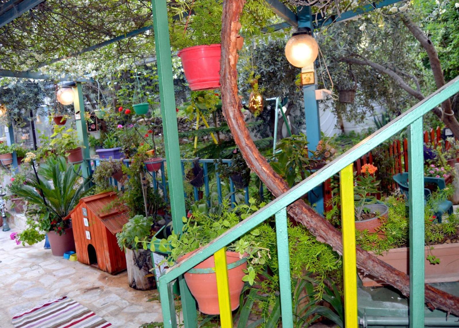 بيت الطبيعة Nature House Γέρασα Δωμάτιο φωτογραφία