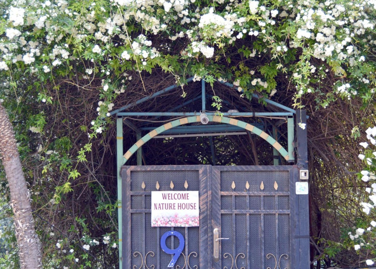 بيت الطبيعة Nature House Γέρασα Δωμάτιο φωτογραφία