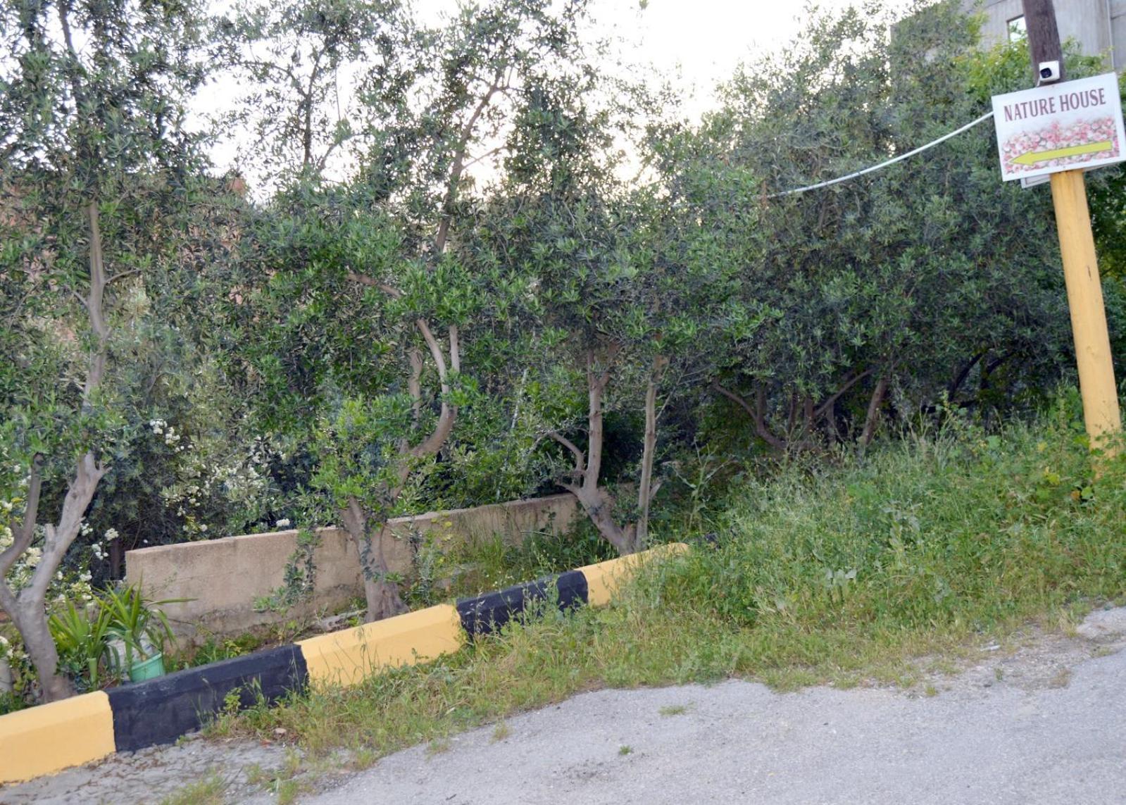 بيت الطبيعة Nature House Γέρασα Δωμάτιο φωτογραφία