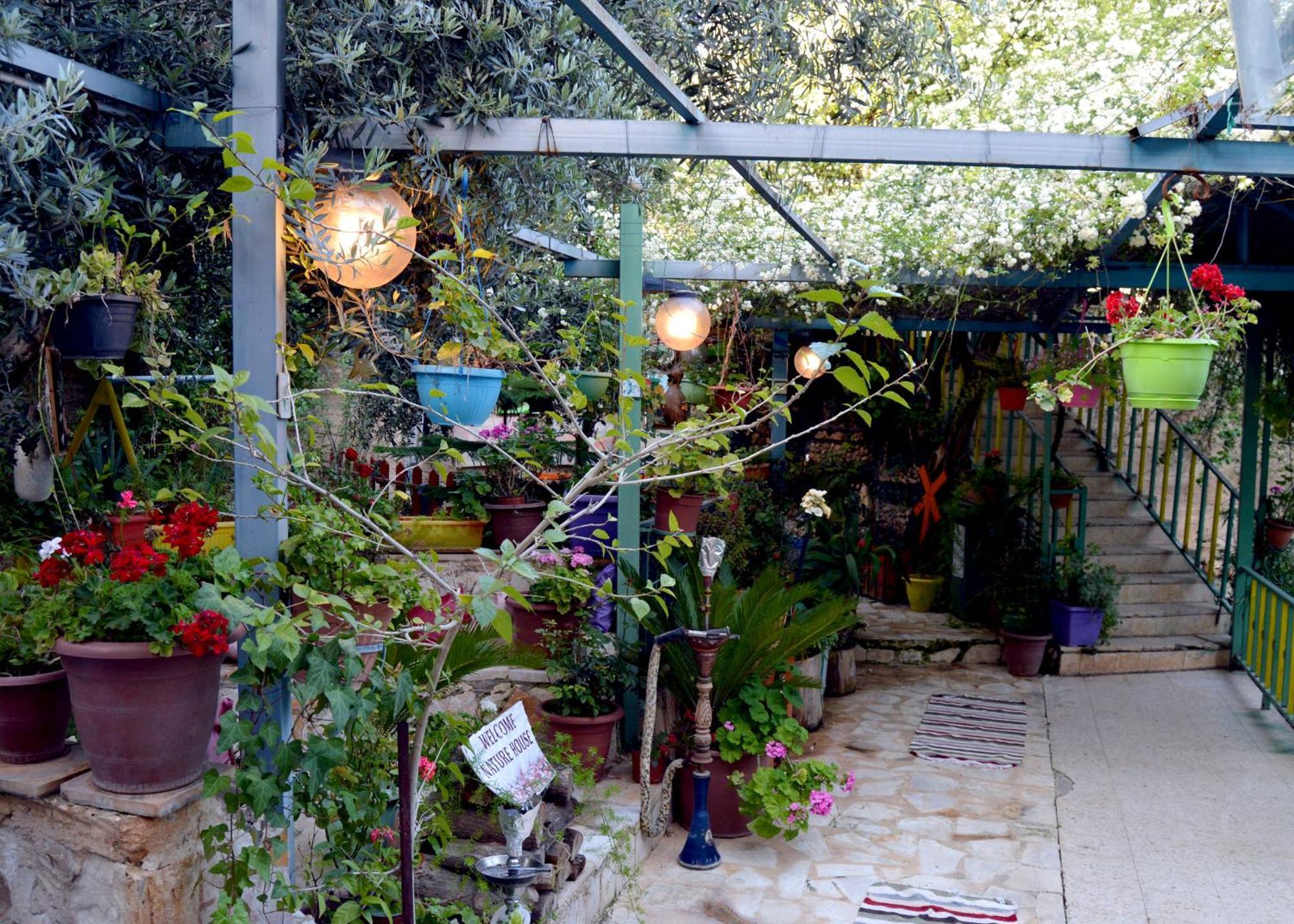 بيت الطبيعة Nature House Γέρασα Εξωτερικό φωτογραφία